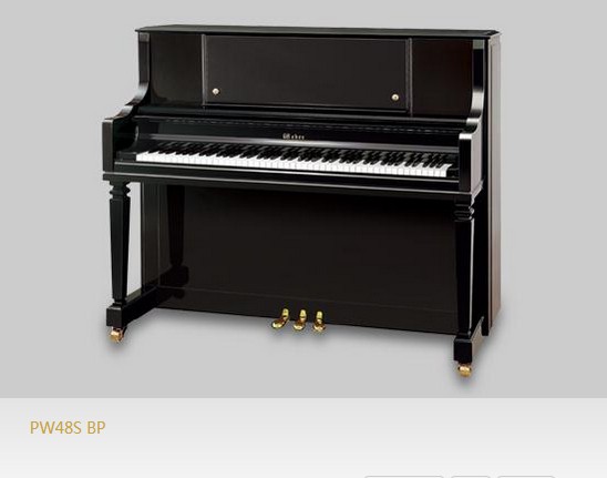 PW48S BP
